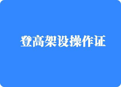 老头入逼中文爽视频登高架设操作证